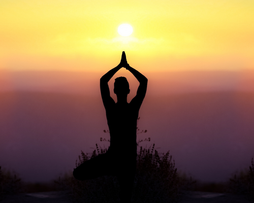 Yoga meditation retreats